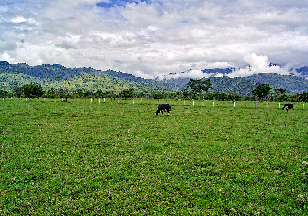 Looking west towards the foothills of the cloud cover eastern Andes and a cattle ranch