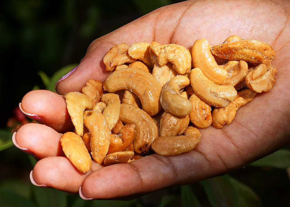 A handful of salty cashews in a hand