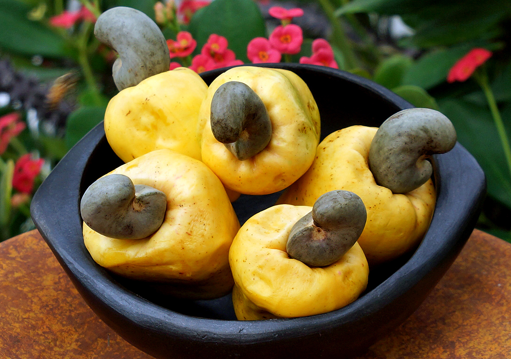 A bowl of yellow Anacardium occidentale fruit