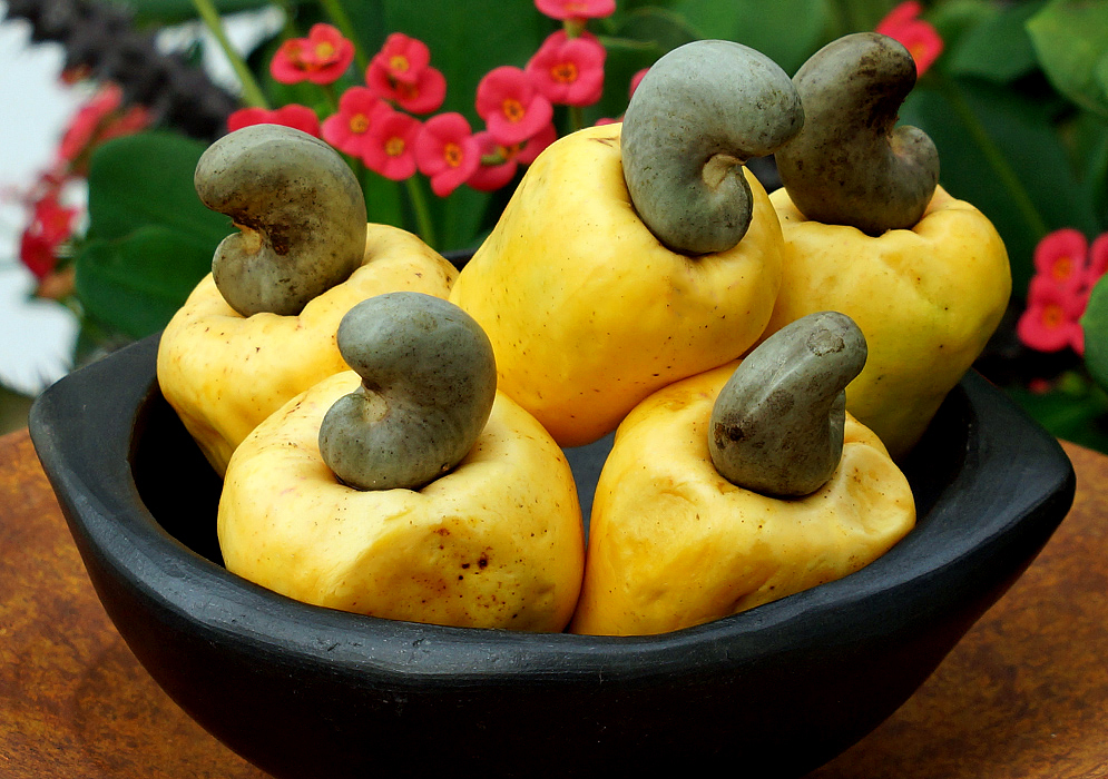 Five yellow Anacardium occidentale fruit in a black bowl