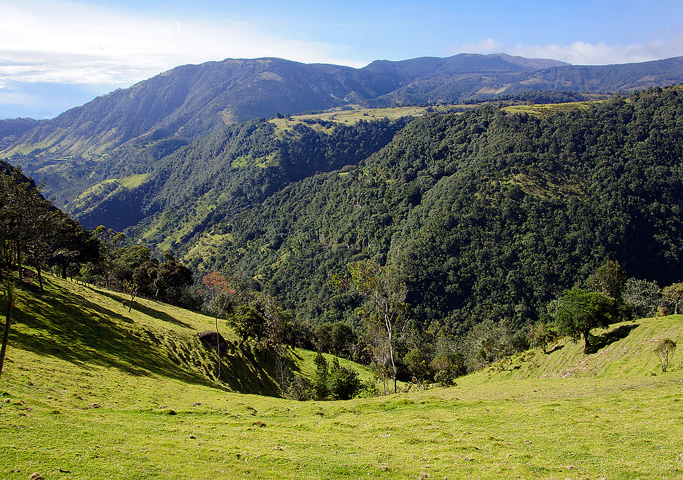 Western green slopes of the Andes Central Range and pastureland