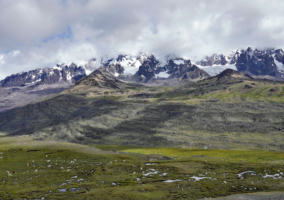 Cordillera Vilcanota Andes Expansive view of windswept Andean tundra with scattered rocks and rugged terrain below the Vilcanota peaks
