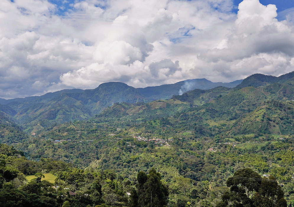 Cauca Andes Landscape Cultivated slopes and forested ridges shape the Andean landscape of Cauca