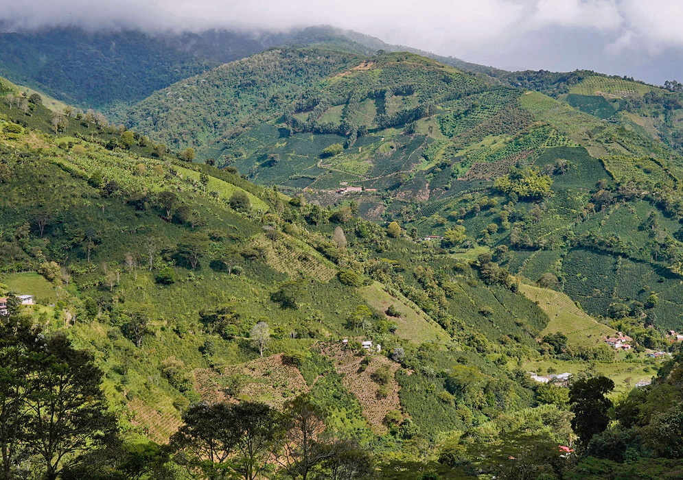 Cultivated fields and green mountain ridges form a broad landscape in the Colombian Andes