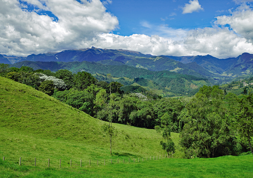 Pastureland in the foreground of the central Andes range