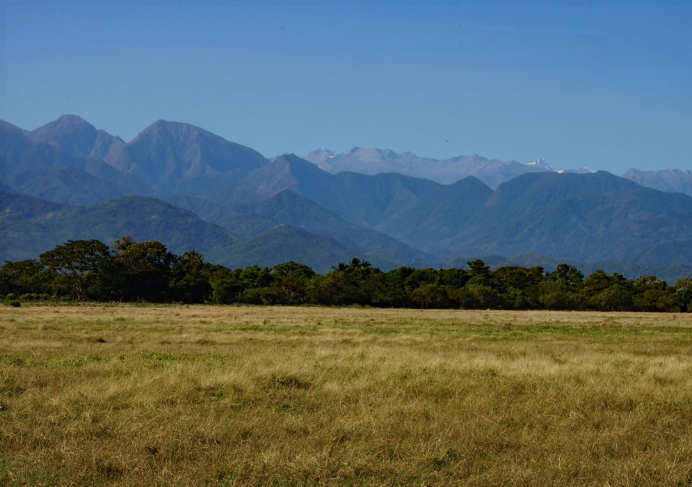 Sierra Nevada de Santa Marta from the northeast looking south with golden grass in the foreground