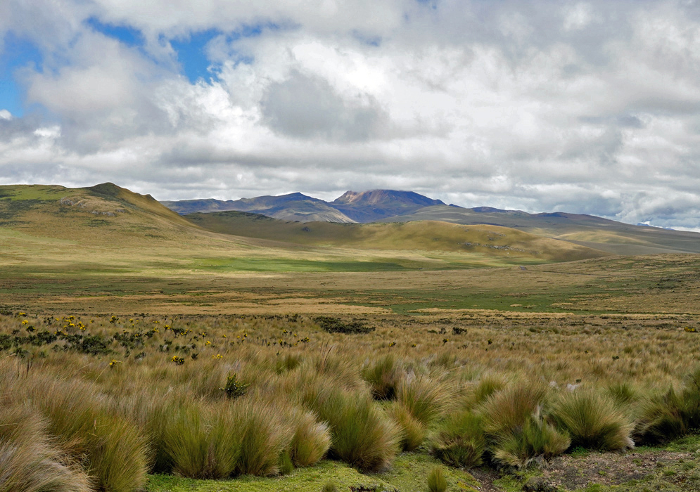 Expansive view of the Antisana Ecological Reserve showing rolling páramo grasslands under a dramatic cloudy sky with distant mountain ridges