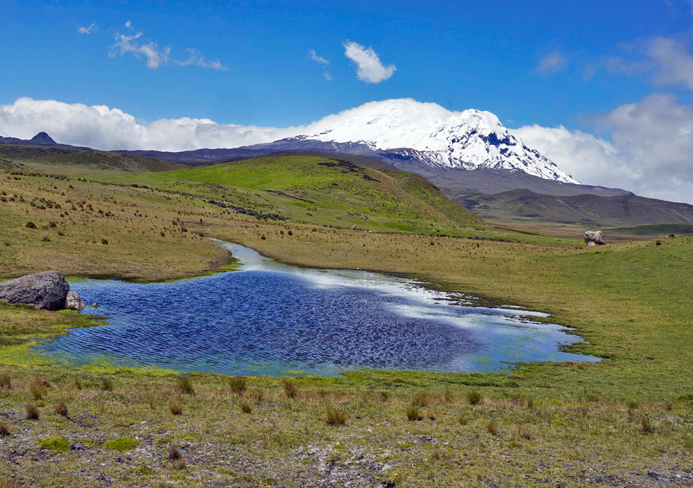 Antisana Volcano With Pond A small reflective pond in the highlands with the snow-capped Antisana Volcano in the background