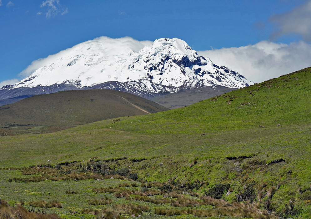 Antisana Volcano Snowcap A close-up of Antisana Volcano’s snow-covered summit emerging from behind rounded green ridges