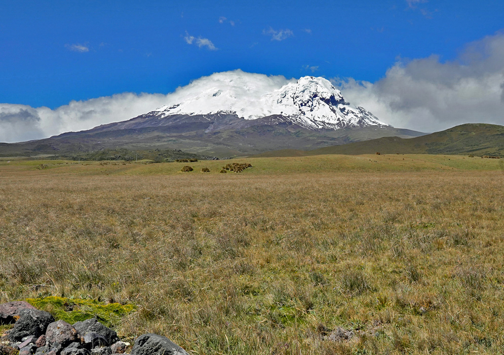 Antisana Volcano Landscape A panoramic view of the snow-capped Antisana Volcano rising above the wide grassy páramo under a vibrant blue sky