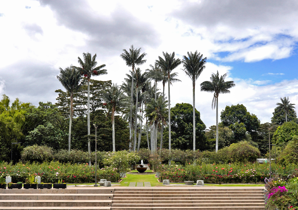 Steps leading to rose garden of garden