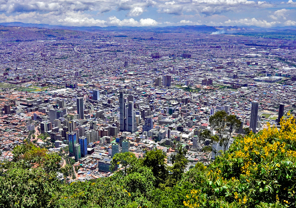 Bogota with mountains in the background and plants from a mountion side in the foreground