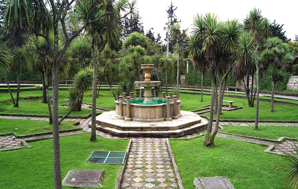 A fountain in a park surrounded by yucca trees