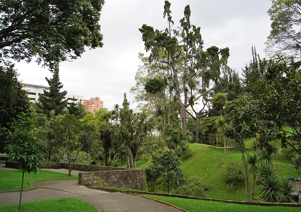 A walkway in a park green with grass and trees
