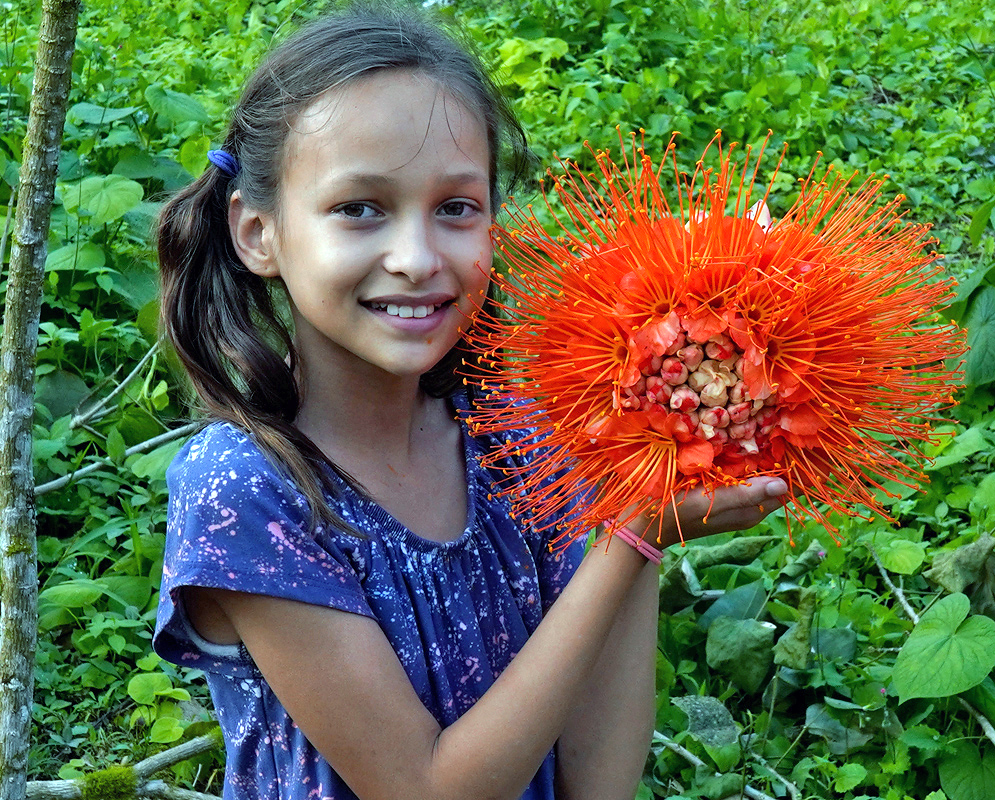 Smiling young girl in a blue shirt holding a massive orange flower cluster of Brownea macrophylla against a background of green foliage.