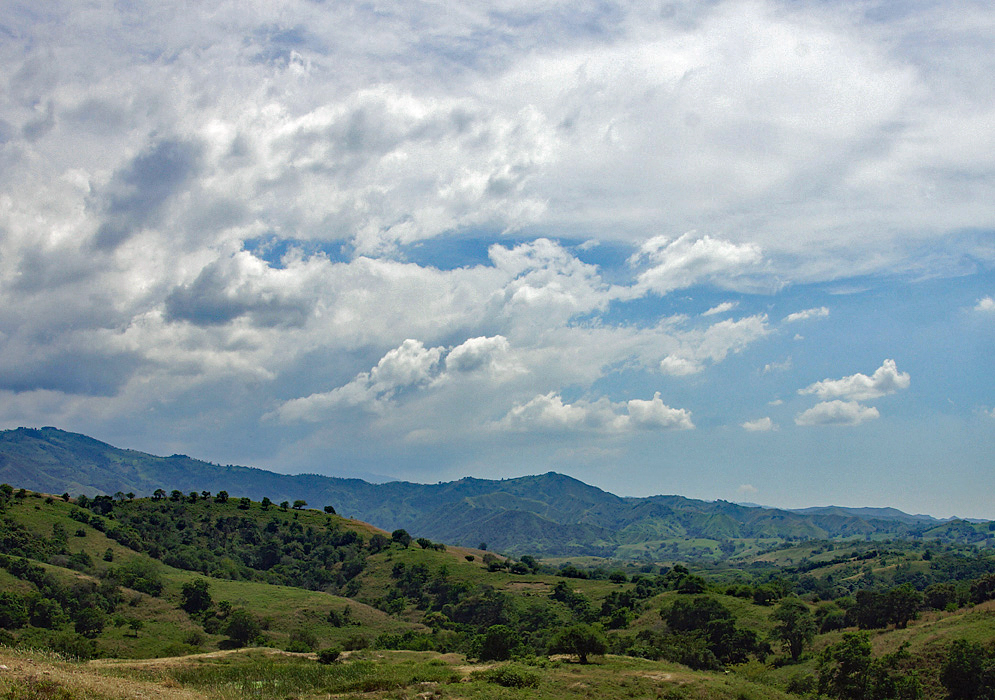 Buga landscape
