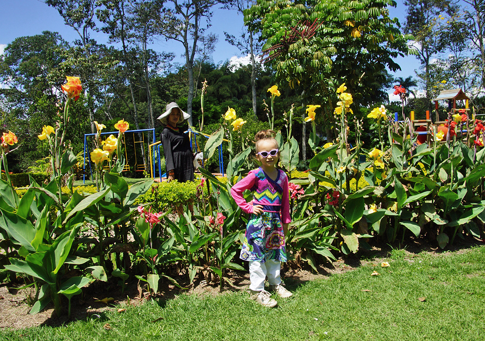 Fashionable five year old girl in front of a row of Canna × generalis plants