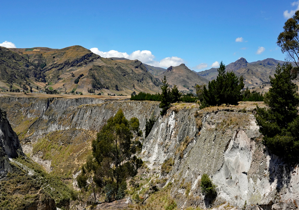 Toachi River Canyon Ecuador Deep canyon with steep rock walls and scattered pine trees overlooking the rugged terrain of the Toachi River Canyon in the Ecuadorian Andes