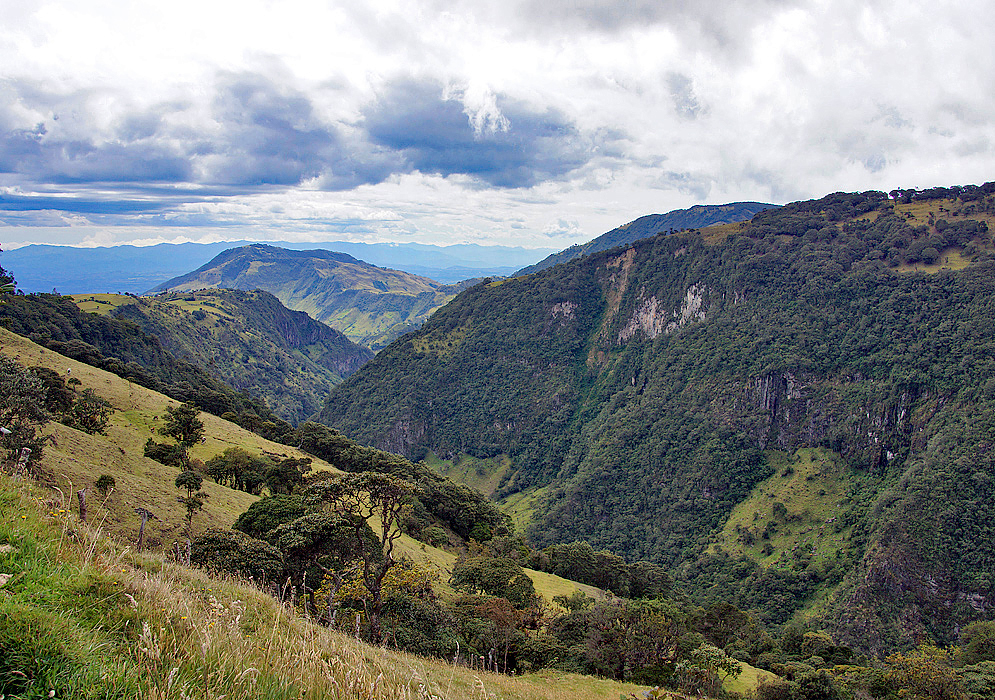 Andes in Cauca