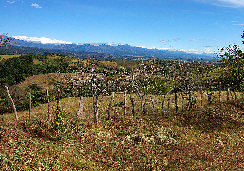 Dry ranch in Cauca