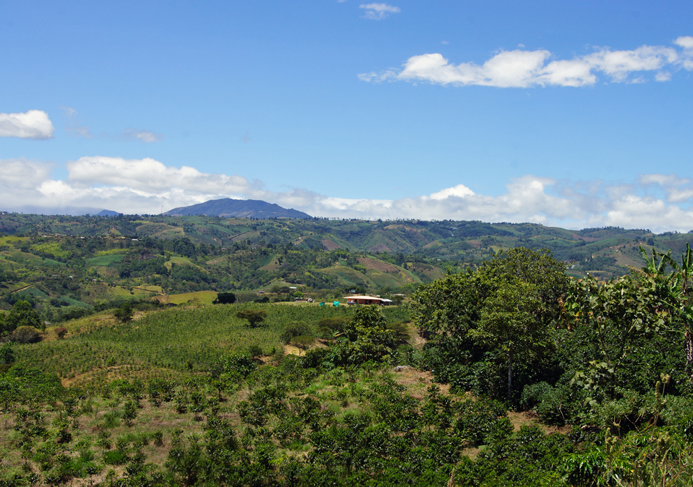The countryside in Cauca