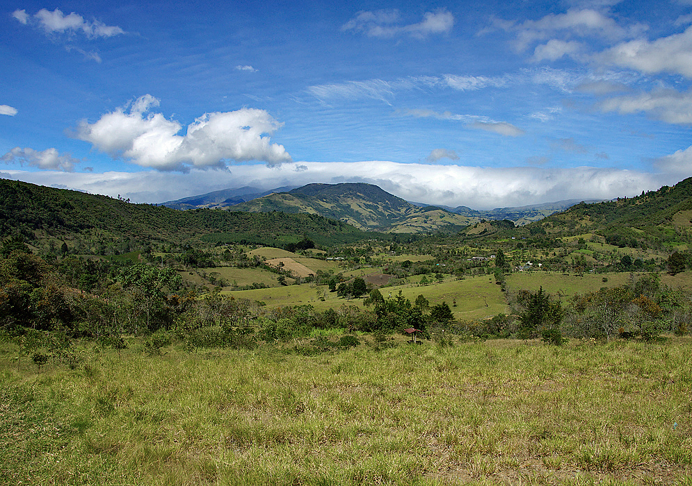 Farmland in Cauca