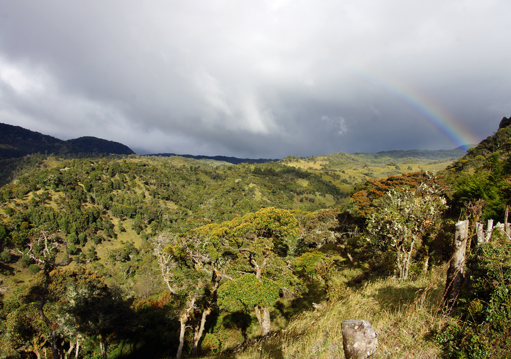 Rainbow in Cauca's landscape