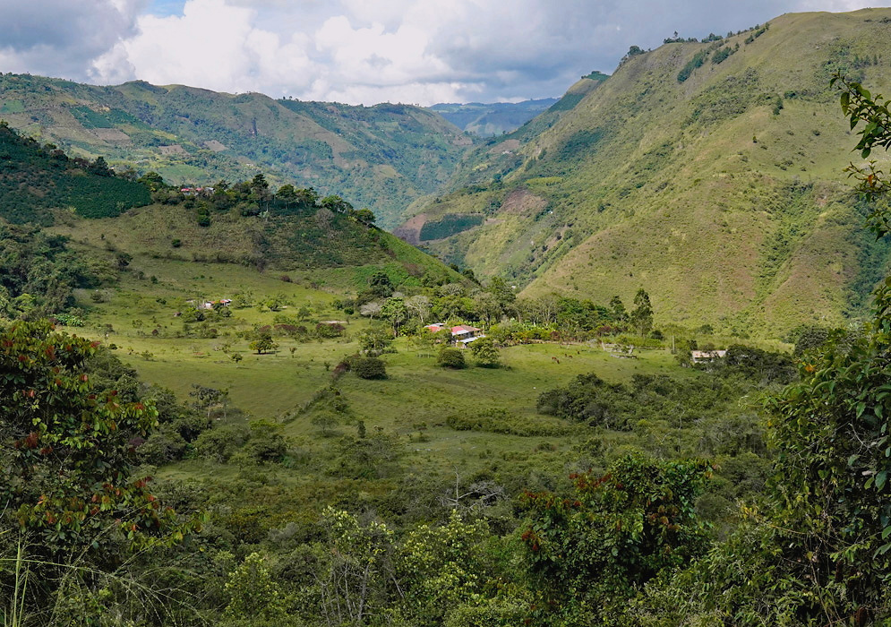 Cauca Rural Andes Valley Farms and scattered homes occupy a rural Andean valley in Cauca