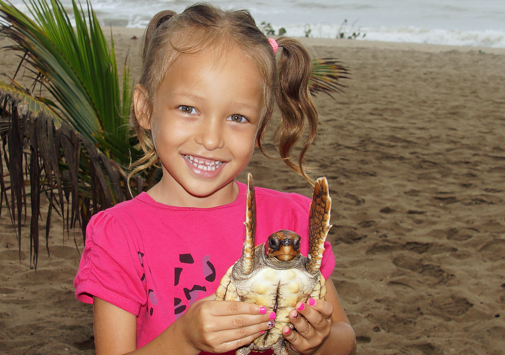 A beautiful girl holding a Green Sea Turtle on the beach