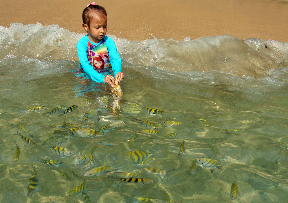 Girl feeding fish in clear sea