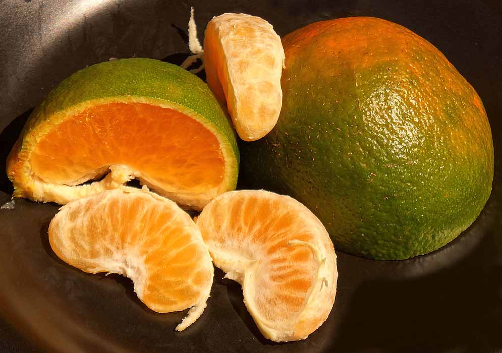 A sliced tangerine with green and orange skin and orange pulp on a black bowl