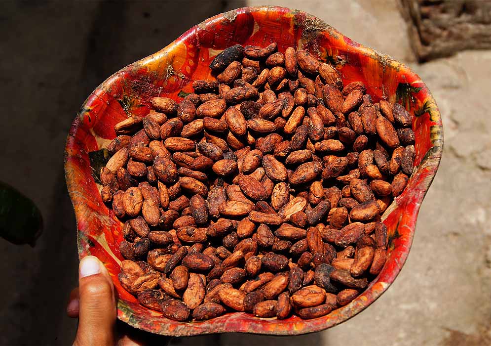 A bowl of cacao seeds