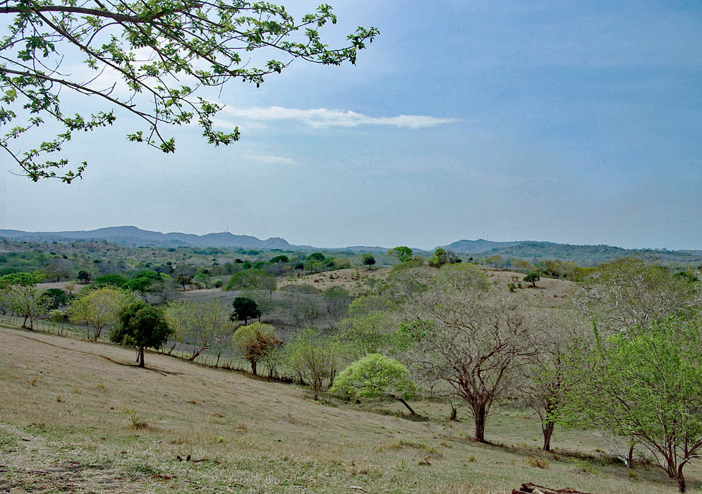 Colombia pasture land during the dry season