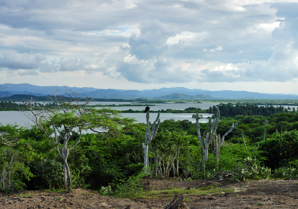 View of the lagoon close to the Totumo Mud Volcano