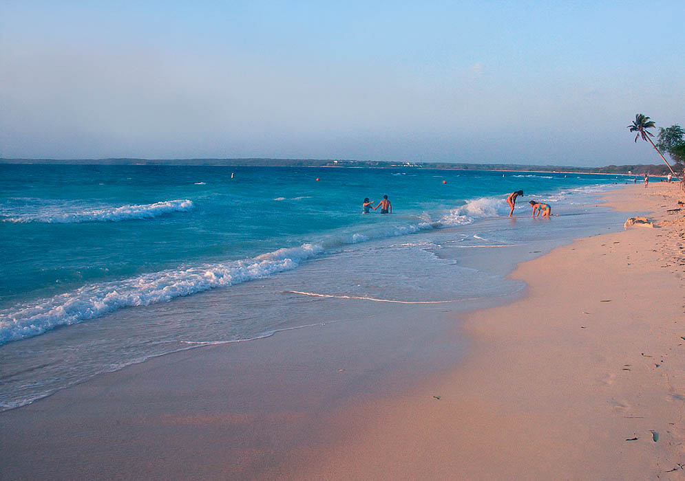 Playa Blanca with lone palm leaning towards ocean