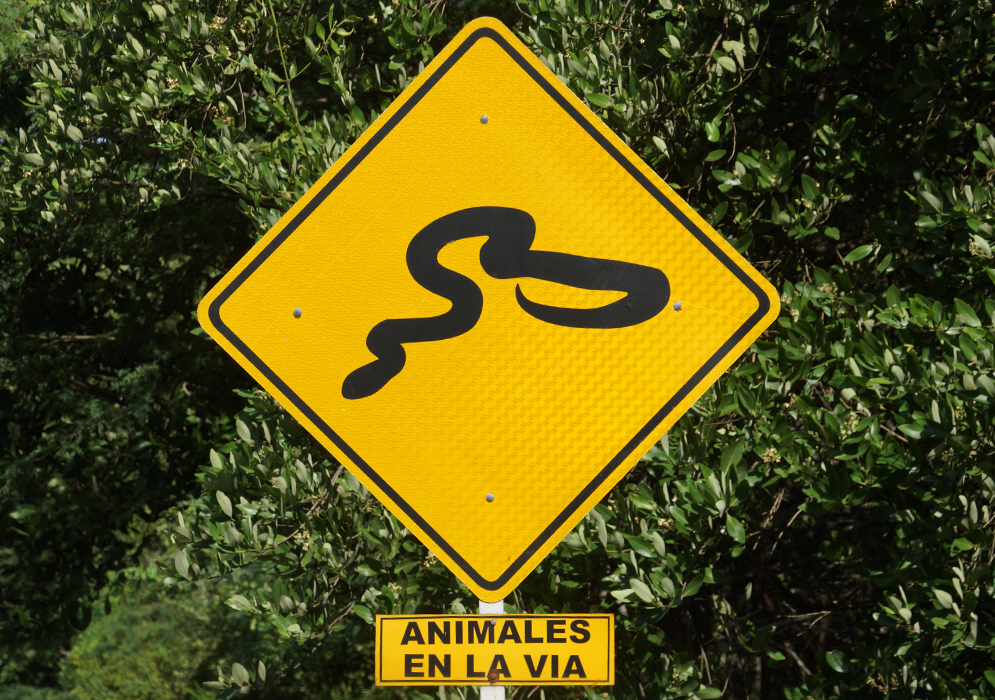 Colombian road sign warning of snakes on highway