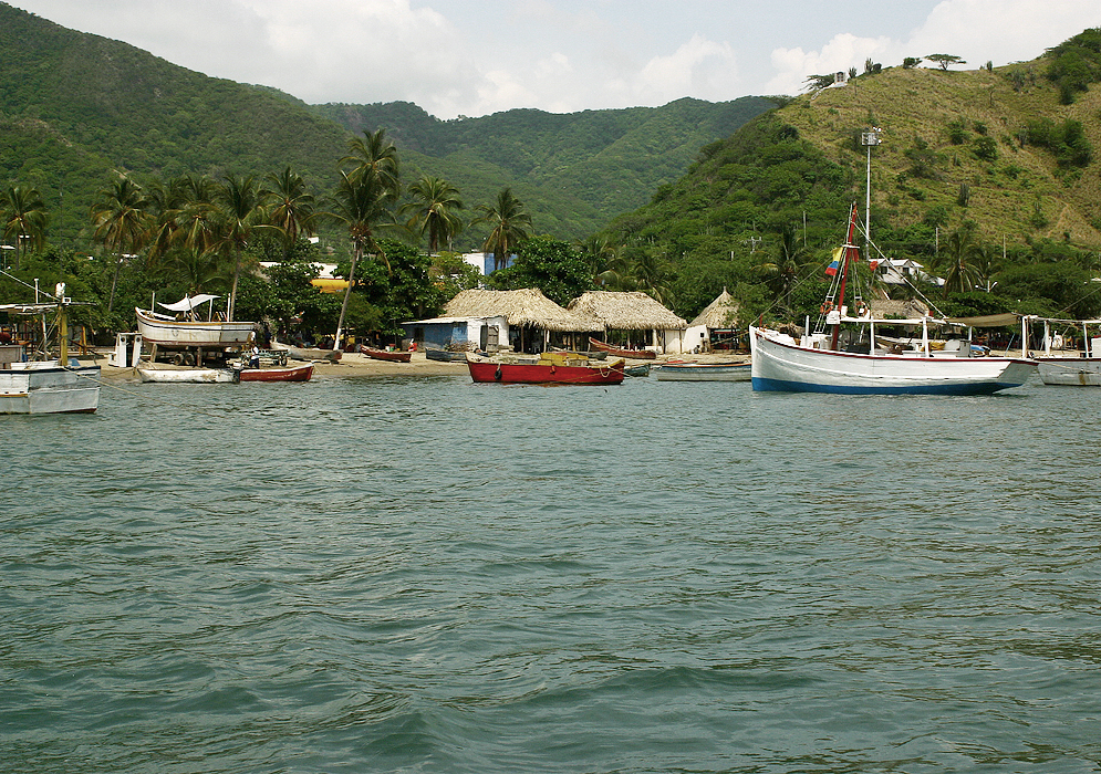 Fishing boats in Taganga's harbor