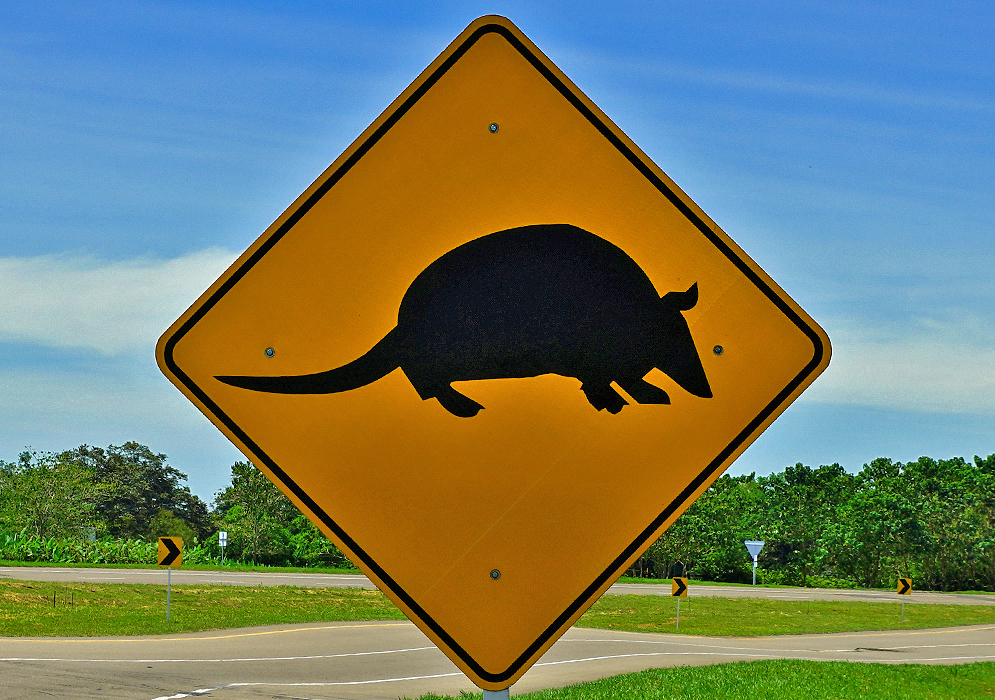 Colombian road sign of a armadillo