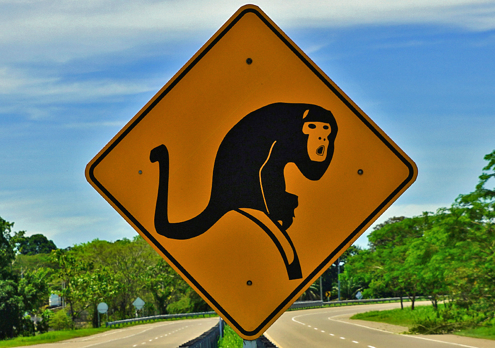 Colombian road sign of a howler monkey