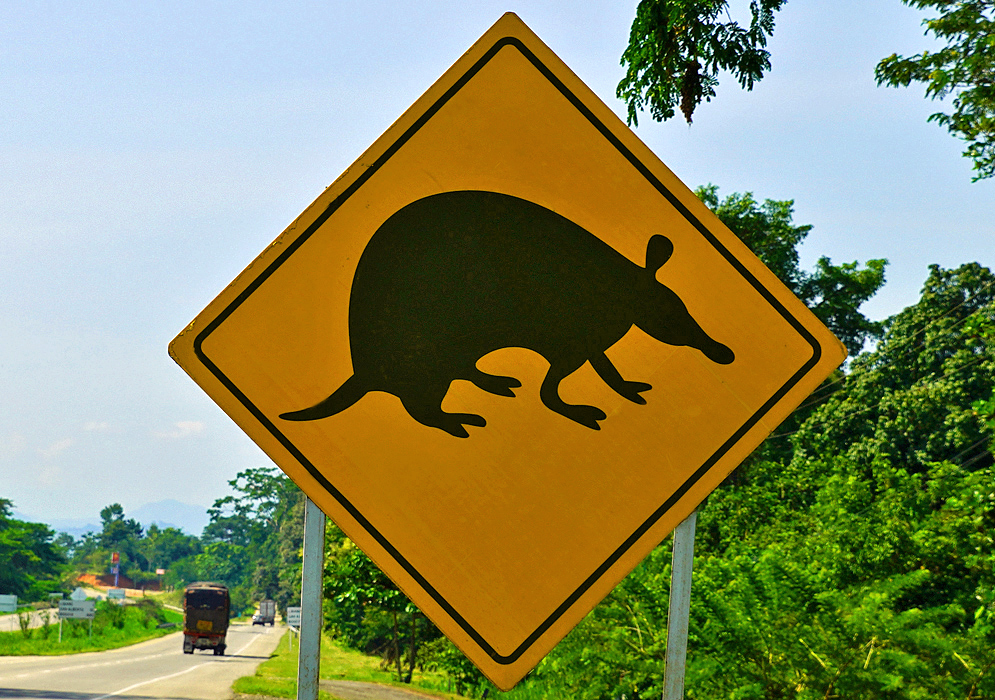 Colombian road sign of a Tamandua tetradactyla