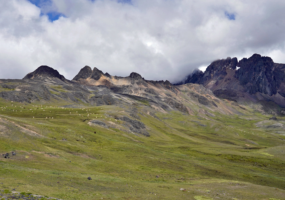 Cordillera Vilcanota Andes Vast high plateau beneath the Vilcanota peaks dotted with grazing alpacas and reflective pools, reaching 14,000 feet in elevation