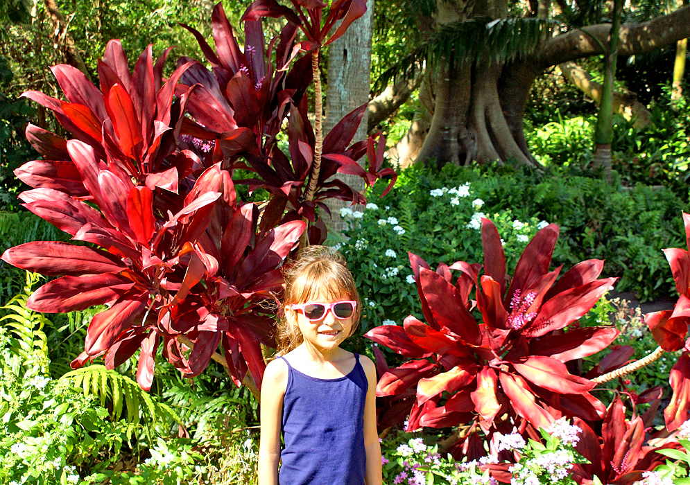 Pretty girl standing in front of a background of red Cordyline fruticosa plants