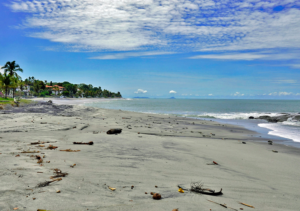 Coronado Beach Panama A wide stretch of gray sand and gentle surf at Coronado Beach in Panama, with palm trees and homes along the shoreline