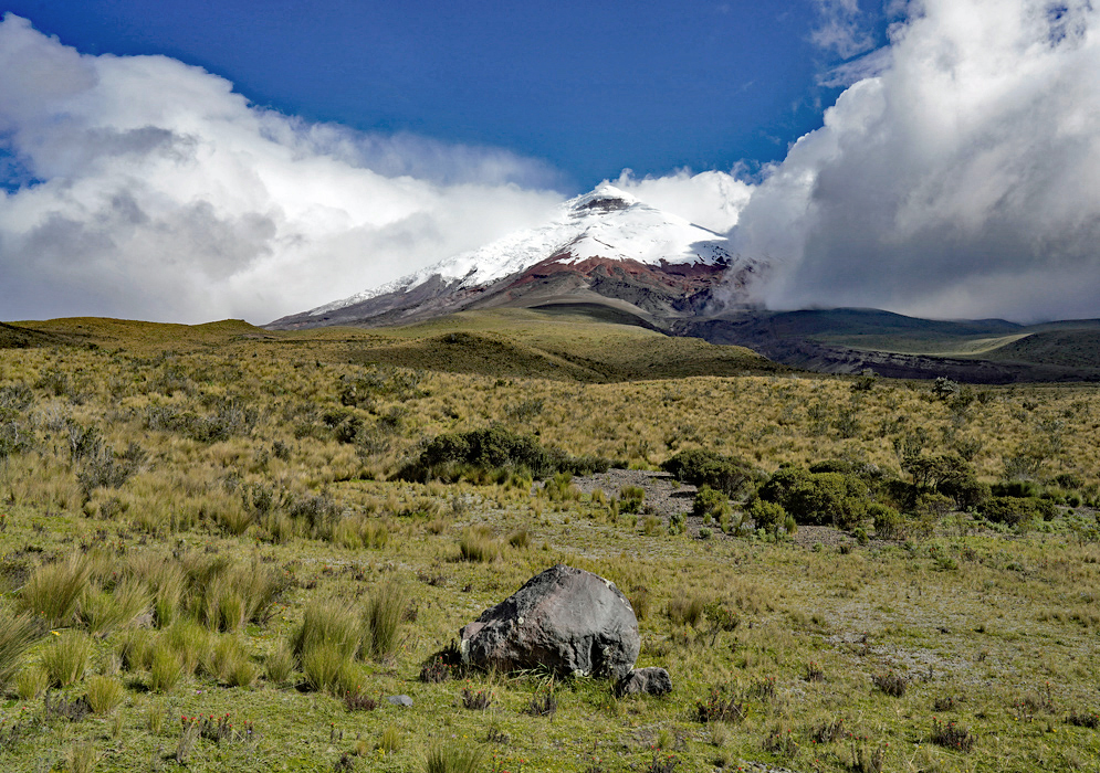 Cotopaxi volcano in the Andes Páramo Snow-capped Cotopaxi Volcano rises above the vast grassy páramo in Ecuador’s central Andes, framed by low-lying clouds and volcanic slopes.