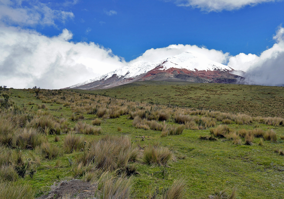 Cotopaxi Volcano Cloud Break The snowy peak of Cotopaxi Volcano appears through a gap in the clouds, surrounded by soft green slopes and highland grasses