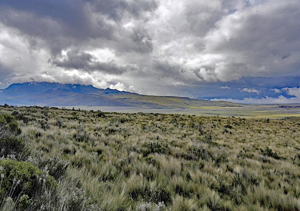 Paramo Landscape Near Cotopaxi A panoramic view of the Andean paramo shows rolling terrain and distant mountain ridges beneath a dramatic, cloud-filled sky