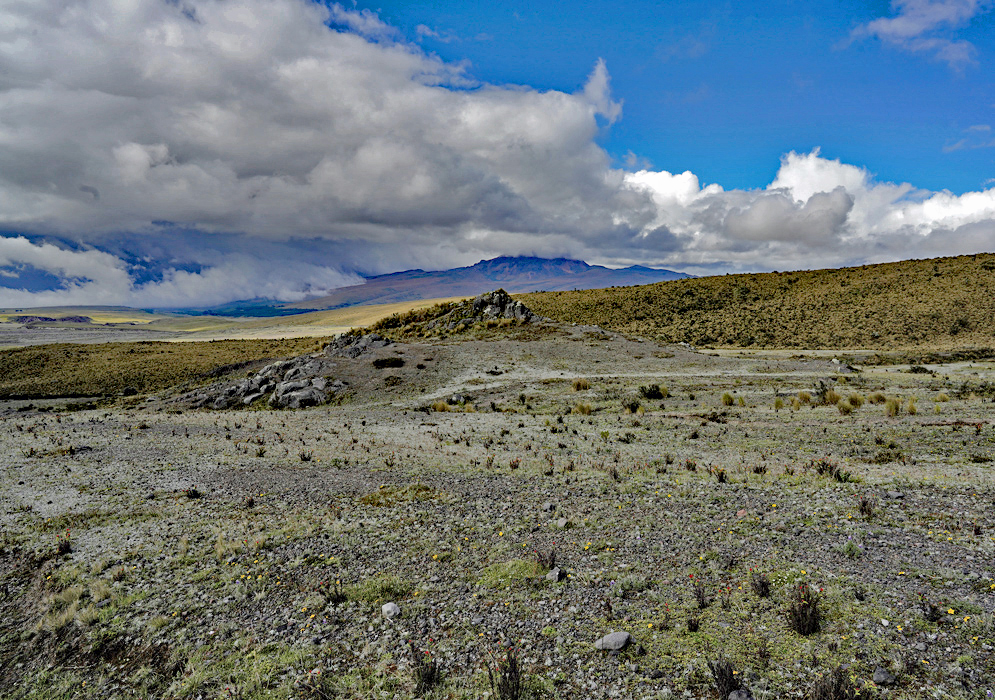 Highland Plain In Cotopaxi Park Highland vegetation in Cotopaxi National Park spreads across a gentle plain with volcanic slopes and dark clouds looming in the distance