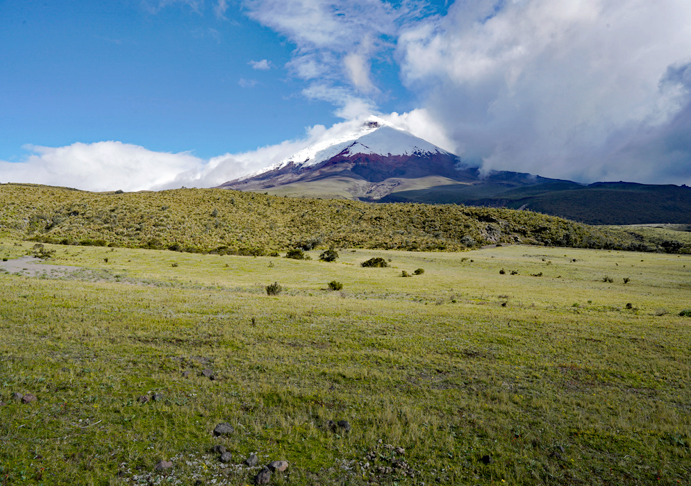 Cotopaxi Volcano and Green Plains The snowcapped Cotopaxi volcano is framed by sweeping green plains under a vibrant blue sky with clouds