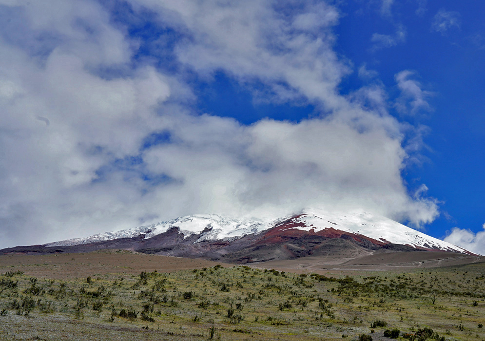 Cotopaxi Volcano In Peru Snow-capped Cotopaxi Volcano rises above a sparse alpine plain with tufts of grass under a sky filled with dramatic cloud formations