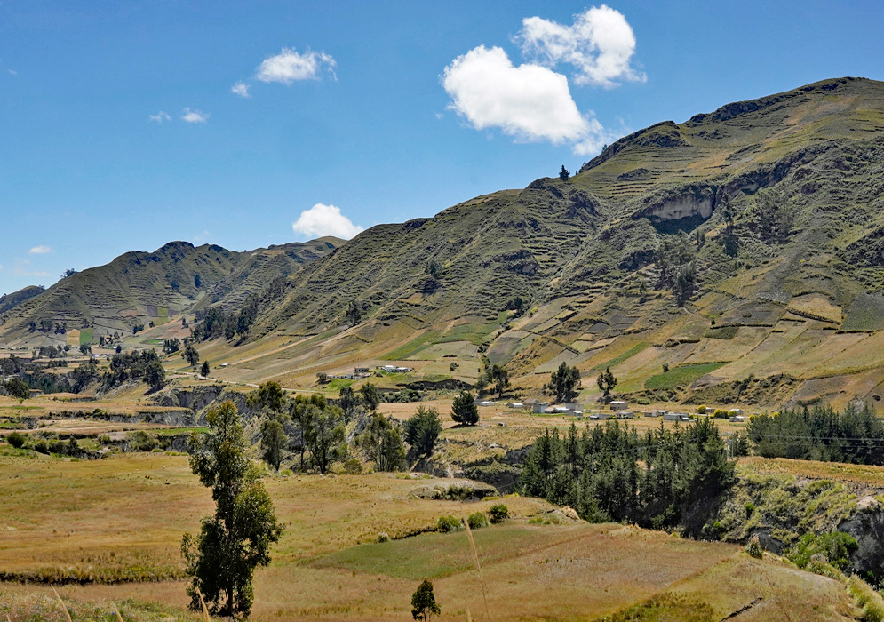 Cotopaxi Province Andes Landscape Steep, terraced slopes rise across the Cotopaxi highlands under a clear blue sky, with rural fields and scattered trees stretching through the valley